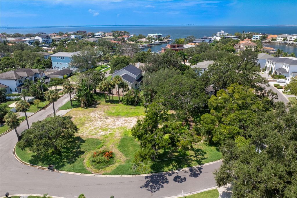 Photo of 2511 S Dundee Street, Tampa, FL 33629 (MLS # TB8425219)