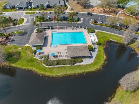 A home in RIVERVIEW