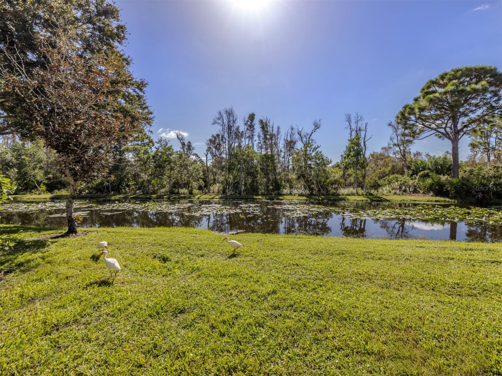 CASA DI AMICI - Residential Lease