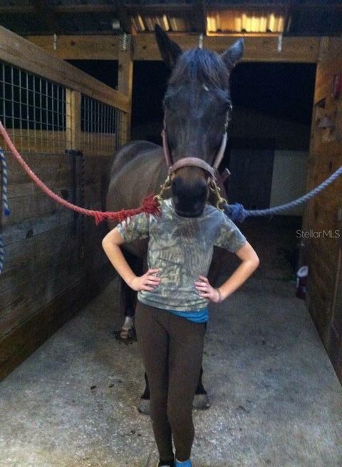 Tiny photo for 11375 N Circle M Avenue, Dunnellon, FL 34433 (MLS # OM715520)