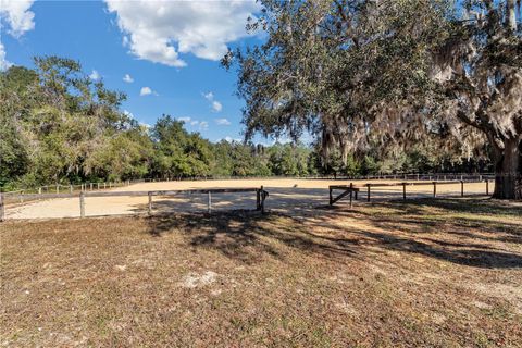Tiny photo for 11375 N Circle M Avenue, Dunnellon, FL 34433 (MLS # OM715520)
