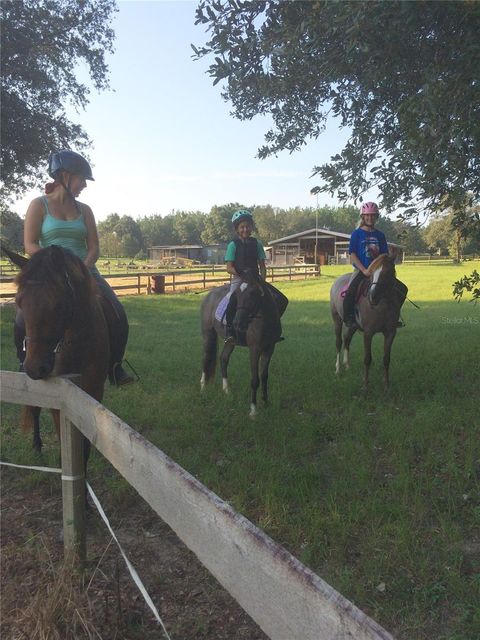 Tiny photo for 11375 N Circle M Avenue, Dunnellon, FL 34433 (MLS # OM715520)