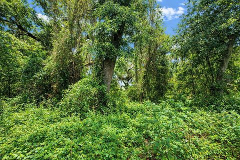 Tiny photo for Tbd NE 52nd Court, Anthony, FL 32617 (MLS # OM722374)