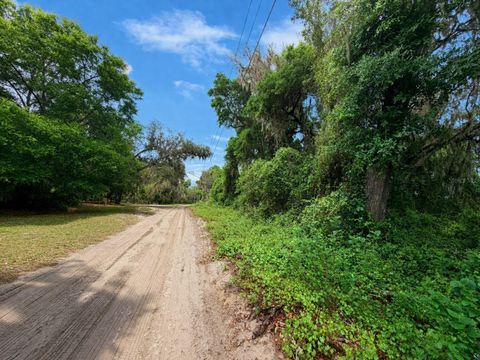 Tiny photo for Tbd NE 52nd Court, Anthony, FL 32617 (MLS # OM722374)