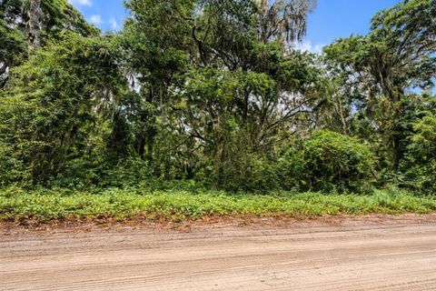 Tiny photo for Tbd NE 52nd Court, Anthony, FL 32617 (MLS # OM722374)