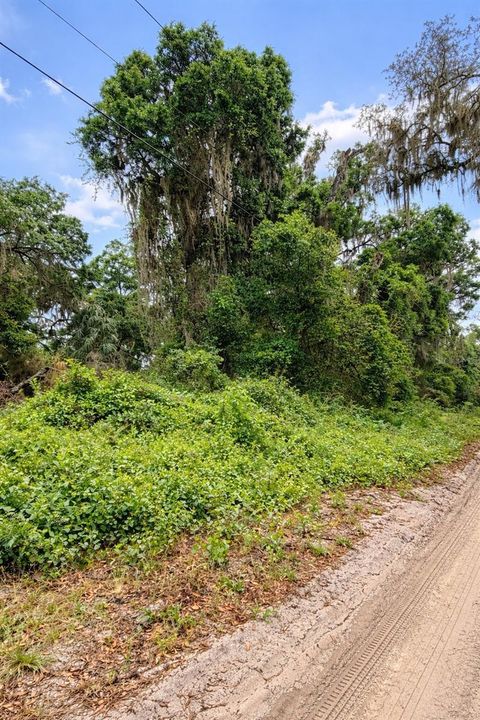 Tiny photo for Tbd NE 52nd Court, Anthony, FL 32617 (MLS # OM722374)