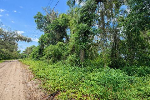 Tiny photo for Tbd NE 52nd Court, Anthony, FL 32617 (MLS # OM722374)
