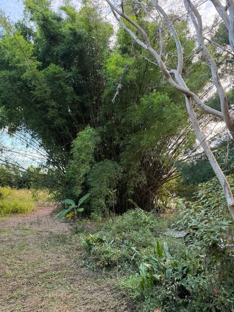 RESTON RANCHES - Residential