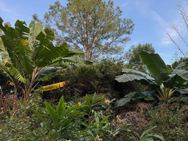 RESTON RANCHES - Residential