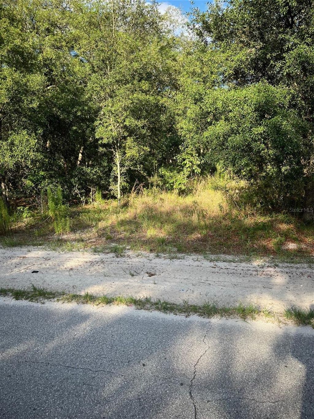 Photo of SW 72nd Terrace, Dunnellon, FL 34432 (MLS # OM704213)