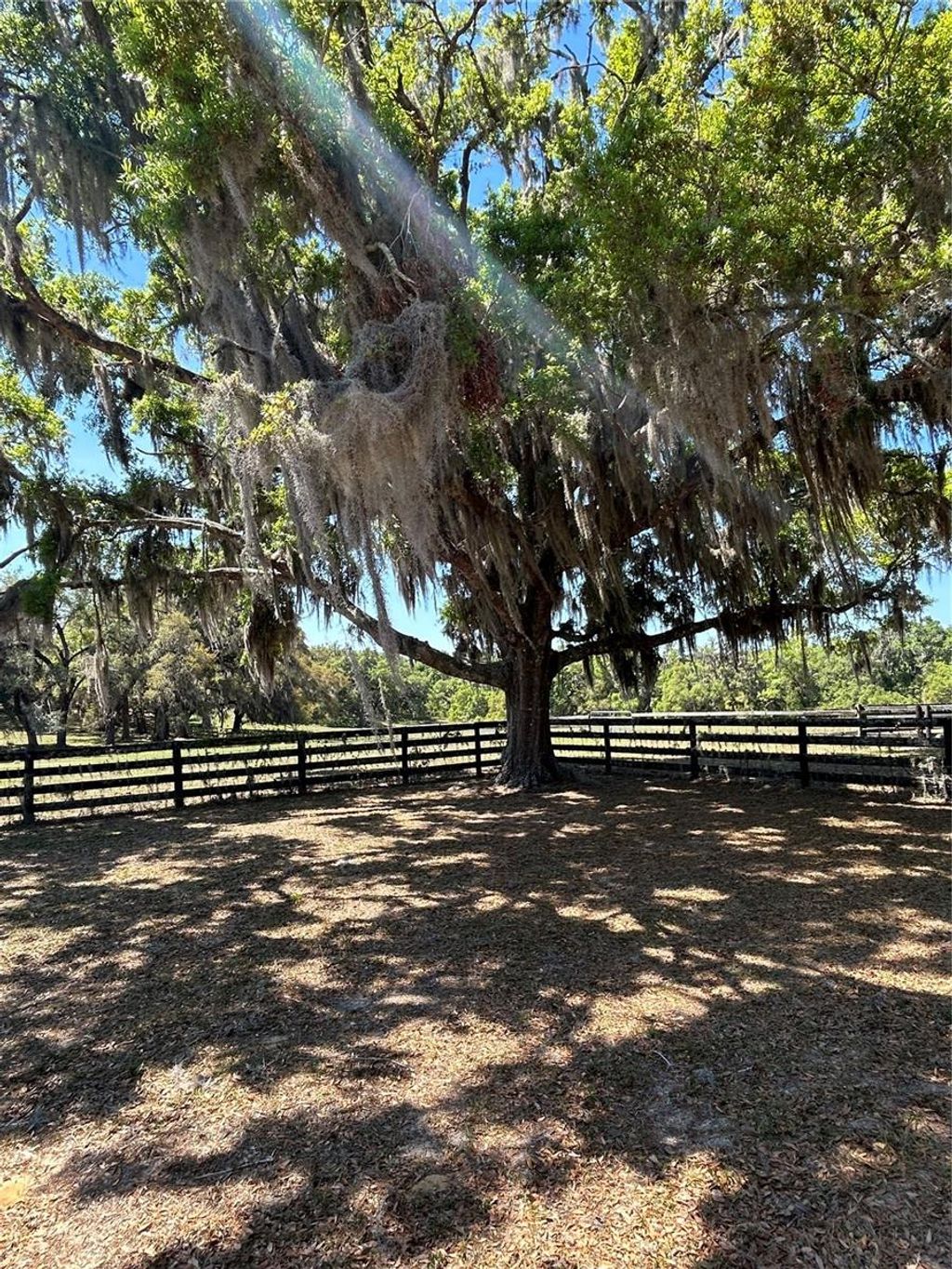 listing image 47