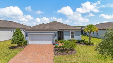 Photo of 19494 Sea Glass Circle, Land O Lakes, FL 34638 (MLS # W7879262)