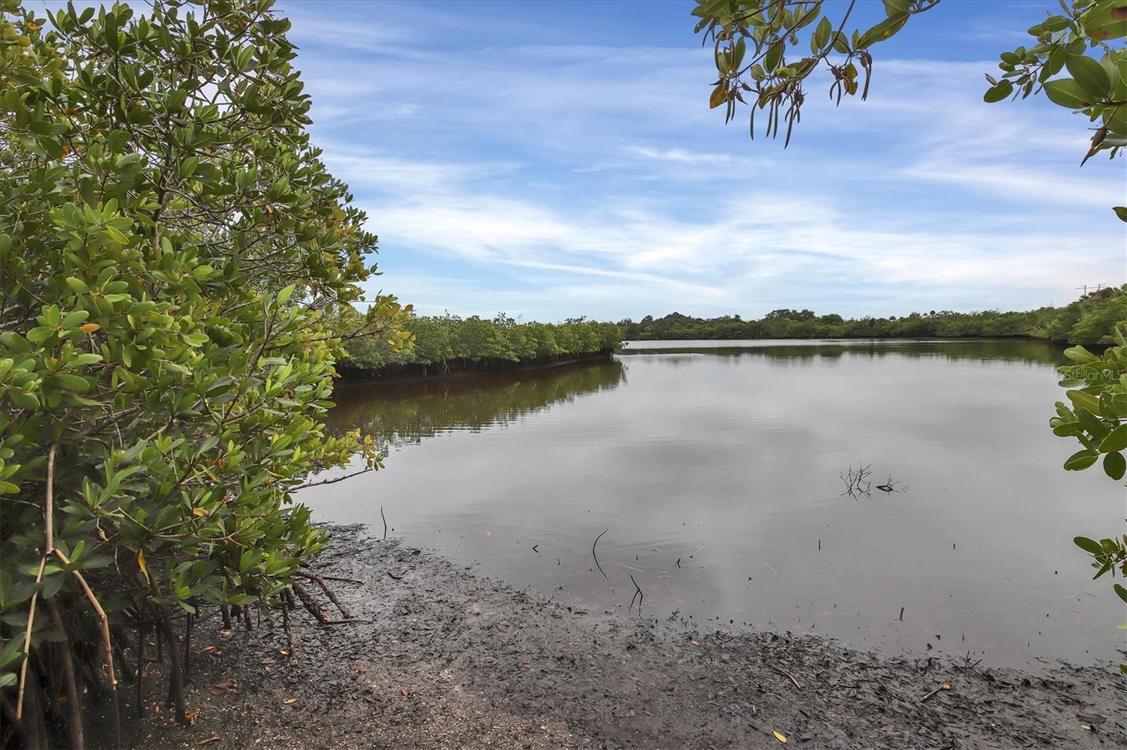 TIDEWATER PRESERVE - Residential