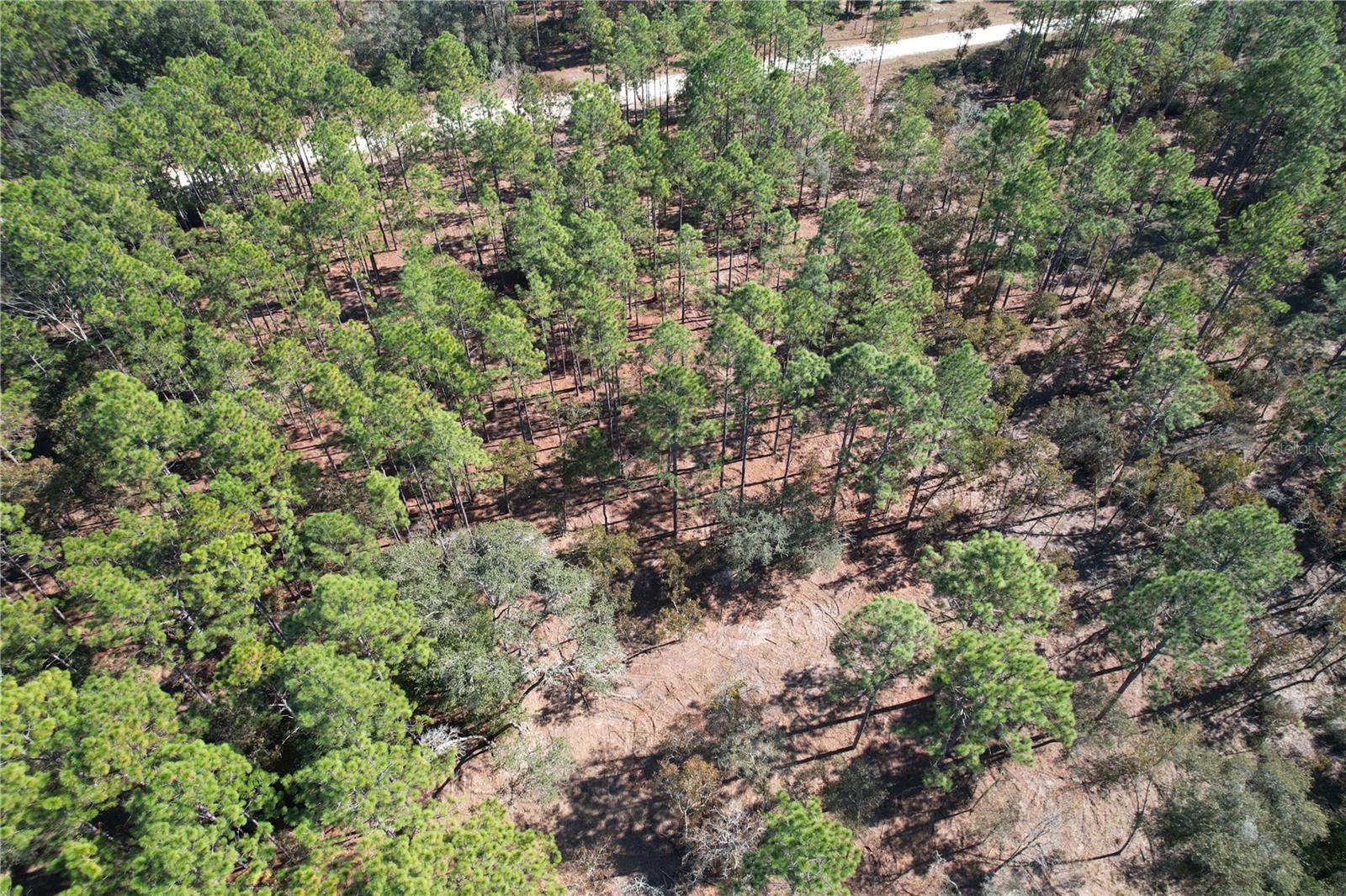 FOREST PARK UNIT 3 PH II - Land