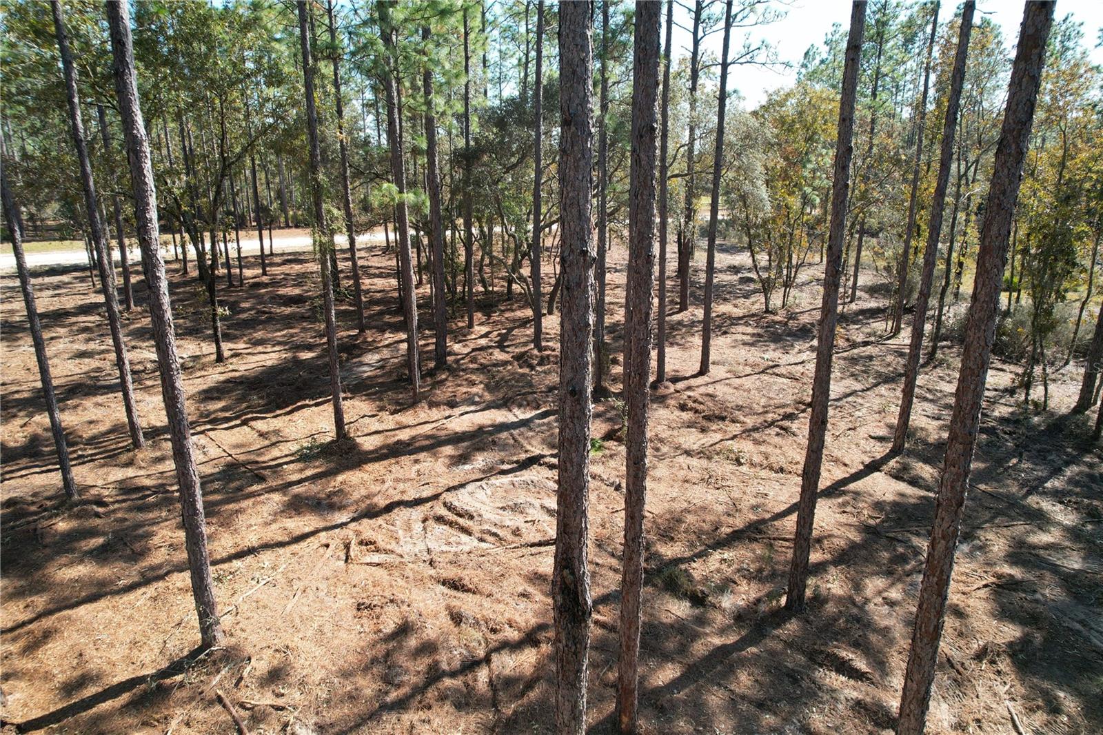 FOREST PARK UNIT 3 PH II - Land