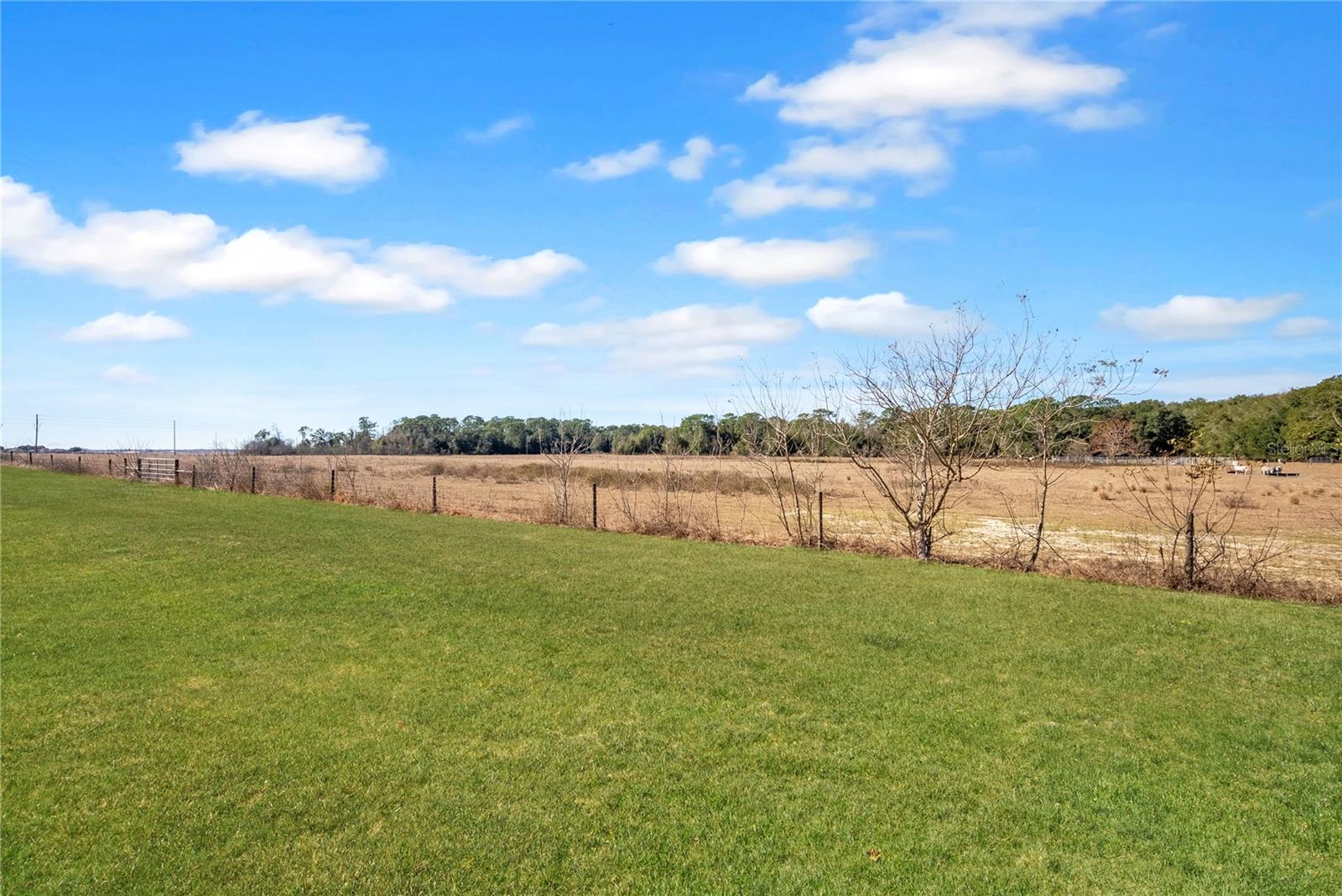 STONE CRK BY DEL WEBB LONGLEAF - Residential