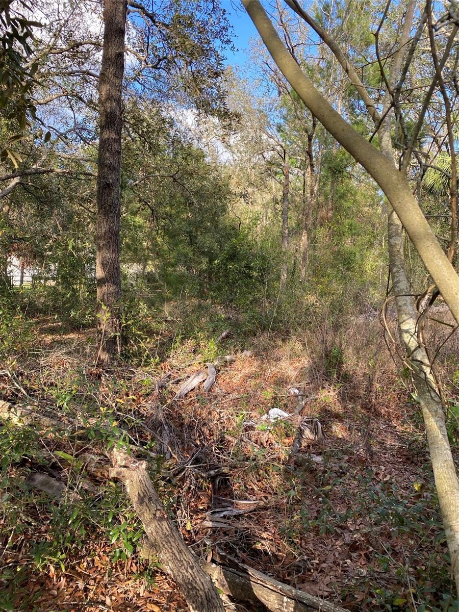 CARLTON VILLAGE PARK - Land