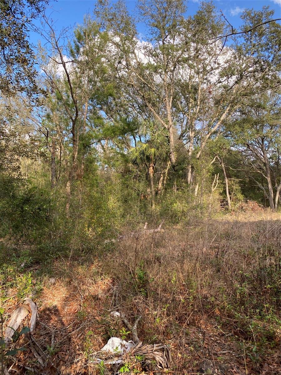 CARLTON VILLAGE PARK - Land