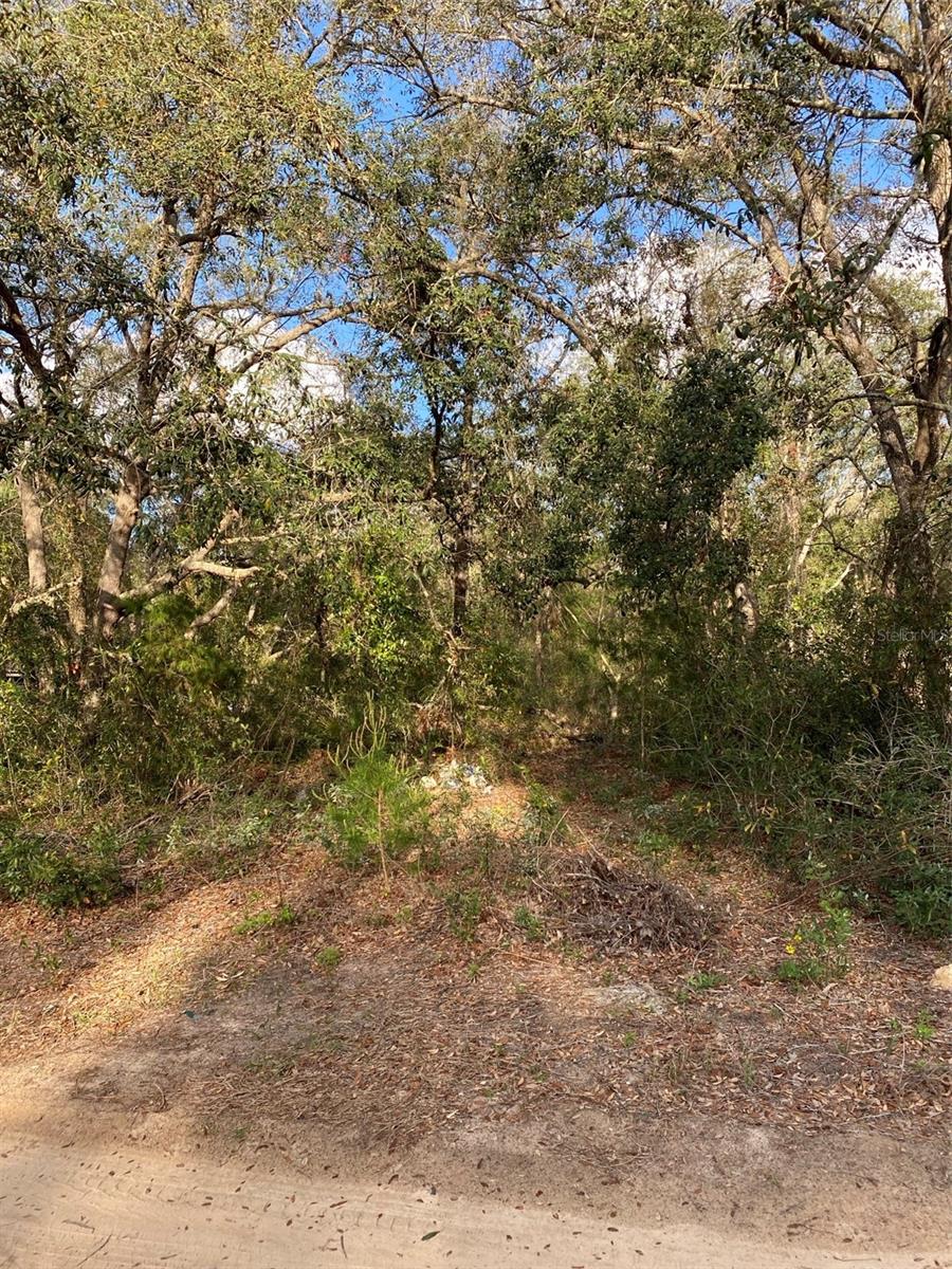 Discover the perfect opportunity to build your dream single-family home and capitalize on the thriving real estate market. This prime location is ideal for a custom build, whether you're envisioning a starter home or a vacation retreat. Nestled in an up-and-coming area near the renowned Harris Chain of Lakes, the property is closest to Lake Griffin, famous for some of the nation's best bass fishing. Imagine, create a cozy cabin Airbnb or design your own home.