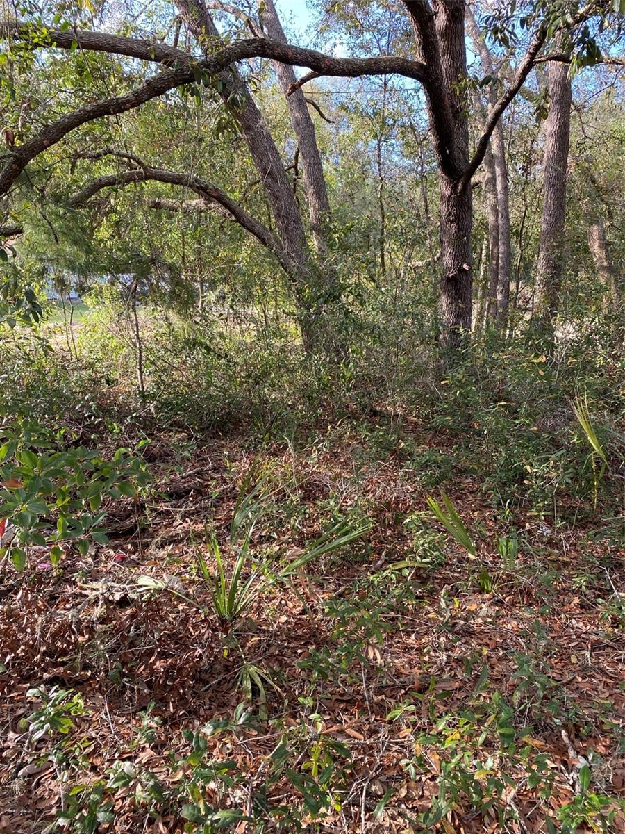 CARLTON VILLAGE PARK - Land