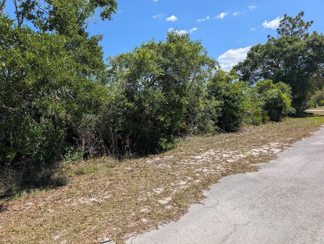 INDIAN LAKE ESTATES - Land