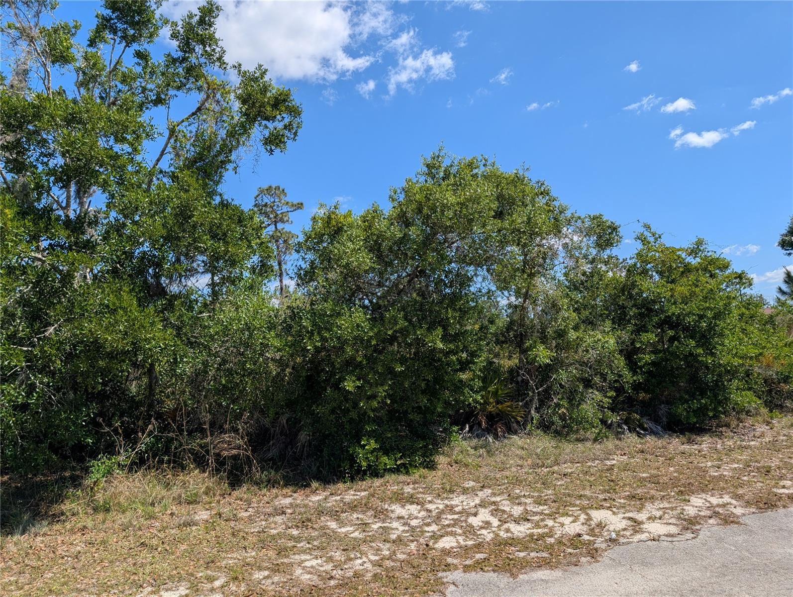 INDIAN LAKE ESTATES - Land