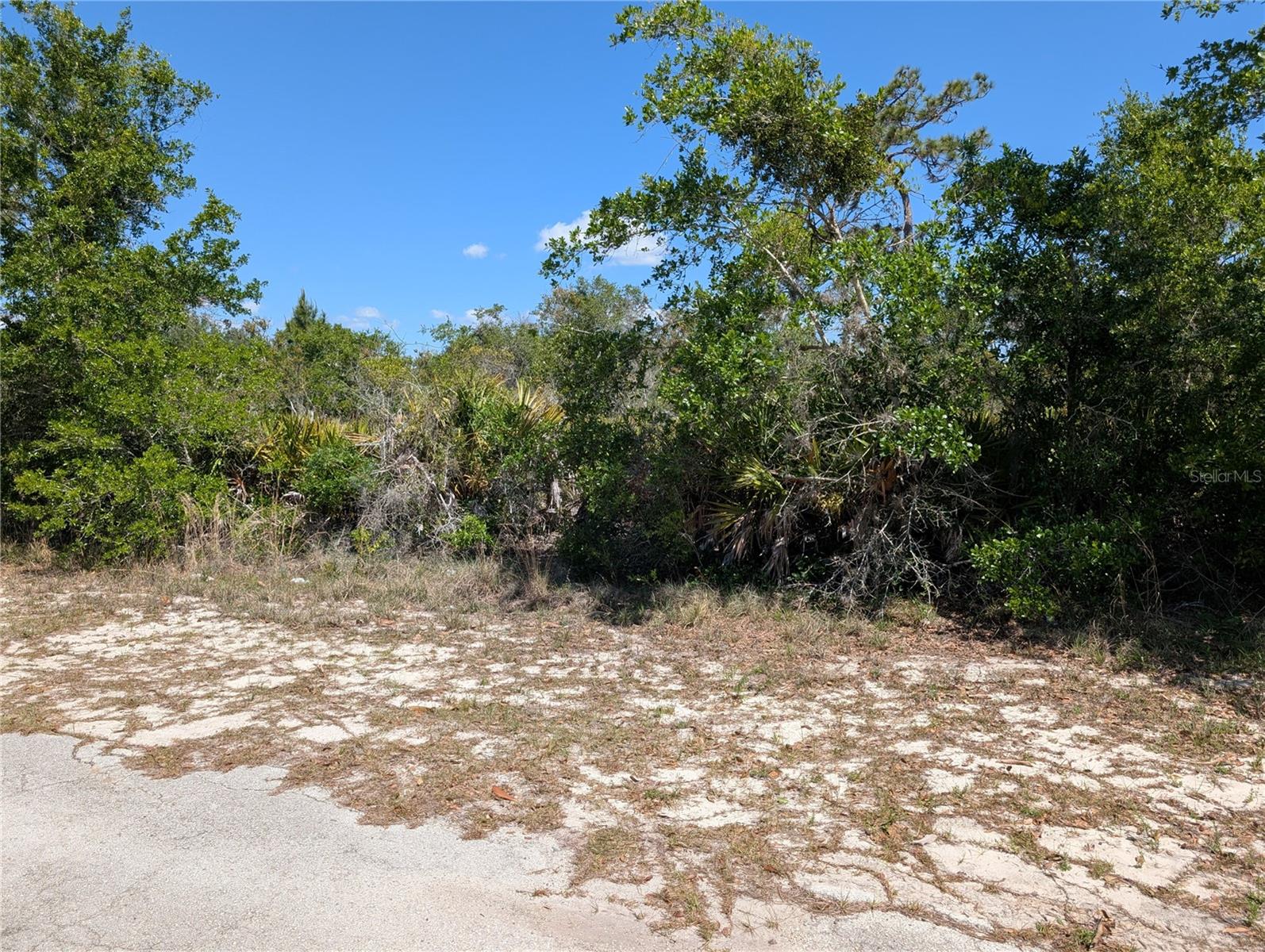 INDIAN LAKE ESTATES - Land