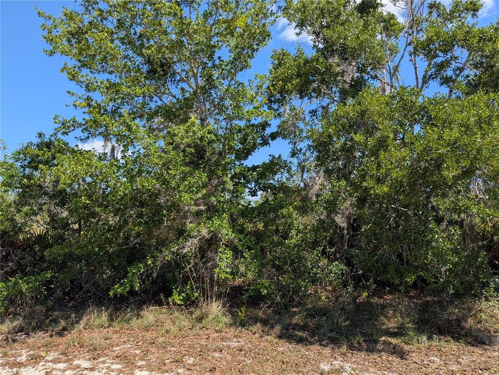 Photo of 816 Bougainville Drive, Indian Lake Estates, FL 33855 (MLS # P4938510)