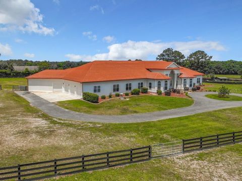 Tiny photo for 12770 N Us Highway 27, Ocala, FL 34482 (MLS # OM713776)