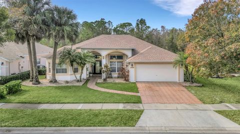 A home in KISSIMMEE