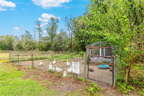 Tiny photo for 18270 N Highway 329, Reddick, FL 32686 (MLS # OM711300)