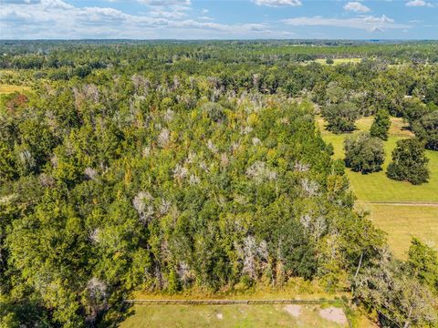 Tiny photo for 18270 N Highway 329, Reddick, FL 32686 (MLS # OM711300)
