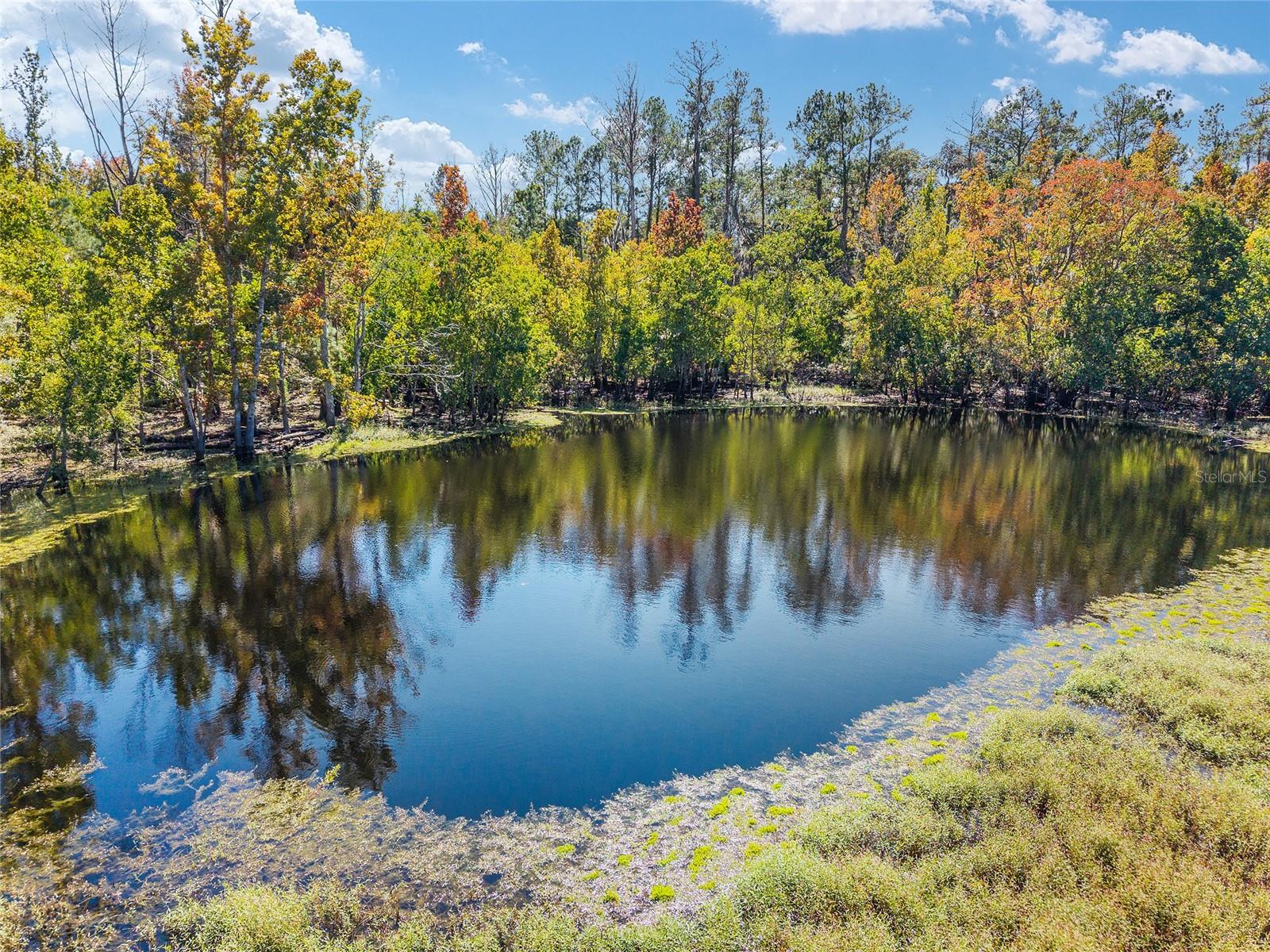 ACREAGE NON-SUBDIVISION - Residential