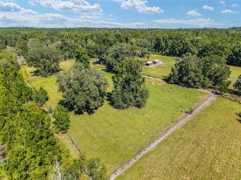 Tiny photo for 18270 N Highway 329, Reddick, FL 32686 (MLS # OM711300)