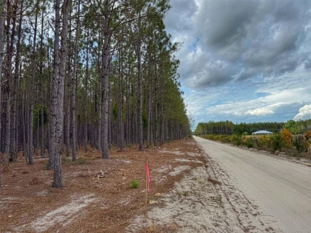 Photo of Tbd SE Pearl Fletcher Road, Branford, FL 32008 (MLS # GC540109)
