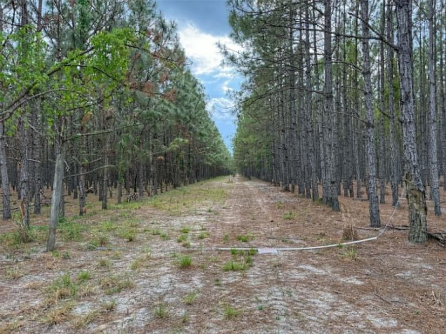 Discover the possibilities with this expansive 63.81-acre tract carved from a larger 84-acre parcel in the peaceful countryside of Branford. This property is fully planted in mature, 20-year-old slash pines and is currently being utilized as a productive timber and pine straw operation, offering immediate agricultural income potential along with long-term investment value. The land is predominantly level and easy to navigate, making it ideal for continued forestry use, recreational enjoyment, or a future homesite. Surrounded on all sides by woodlands and farmland, this property offers exceptional privacy and a true North Florida rural setting. An abundance of wildlife, including deer, turkey, bobcats, and more, makes this an excellent opportunity for hunting, nature watching, or simply enjoying the outdoors. Located in the heart of North Florida, Branford is known for its close proximity to the scenic Suwannee River and Santa Fe River, making it a popular destination for outdoor enthusiasts who enjoy boating, fishing, kayaking, and exploring freshwater springs. The area offers a quiet, rural lifestyle while still being within a reasonable drive to nearby towns such as Live Oak and Lake City for shopping, dining, and everyday conveniences. Whether you are looking to expand your agricultural portfolio, invest in timberland, or secure a private retreat, this versatile property presents a unique opportunity to own a sizable piece of Florida’s natural landscape.