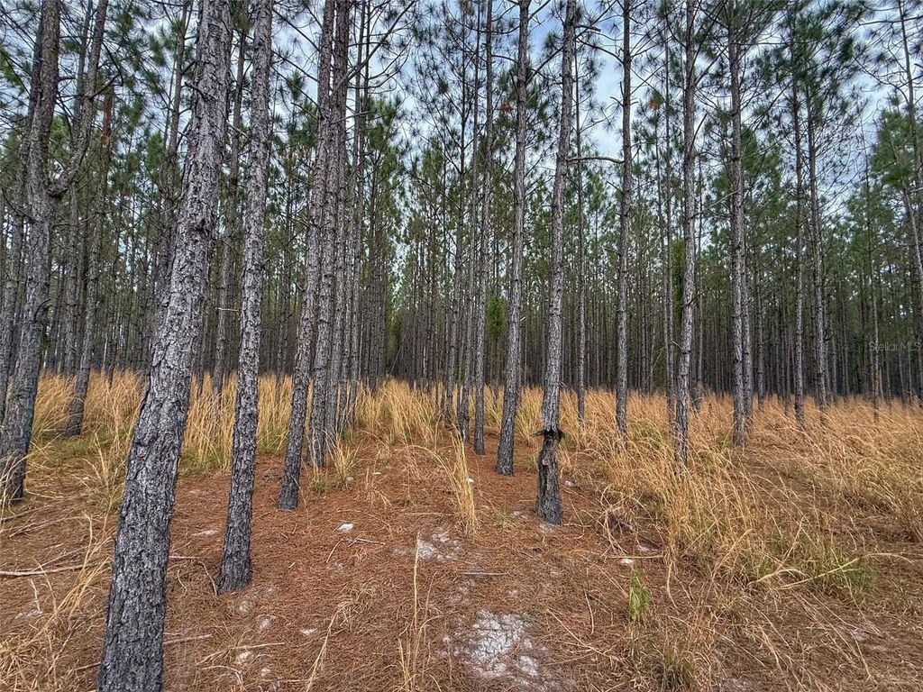 Photo of Tbd SE Pearl Fletcher Road, Branford, FL 32008 (MLS # GC540109)
