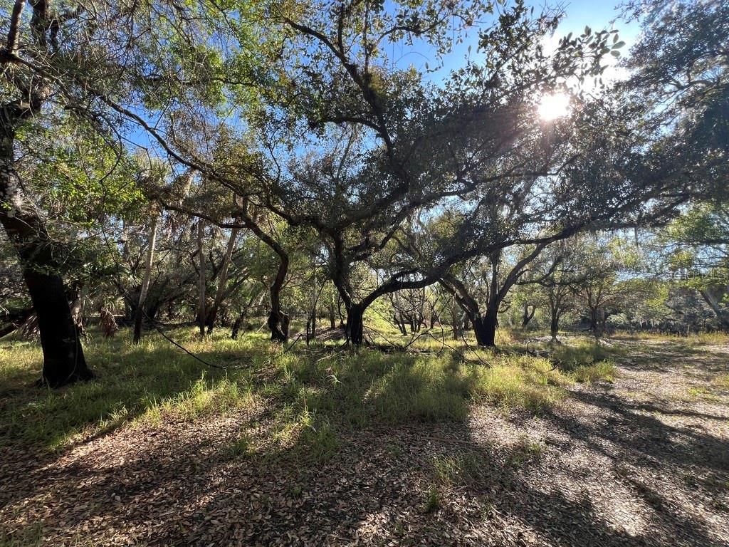 Photo of Arcadia, FL 34266 (MLS # OM718493)