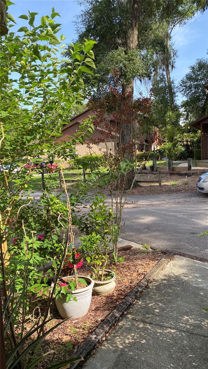 VINEYARD CONDO PH 05 - Residential