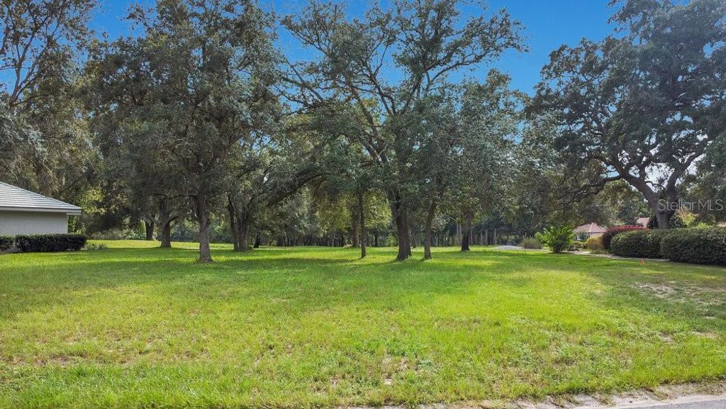 Photo of 3562 W Treyburn Path, Lecanto, FL 34461 (MLS # L4955854)