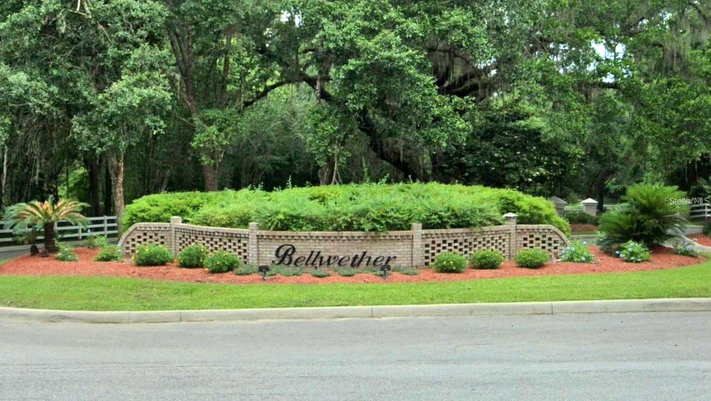 BELLWETHER - Land
