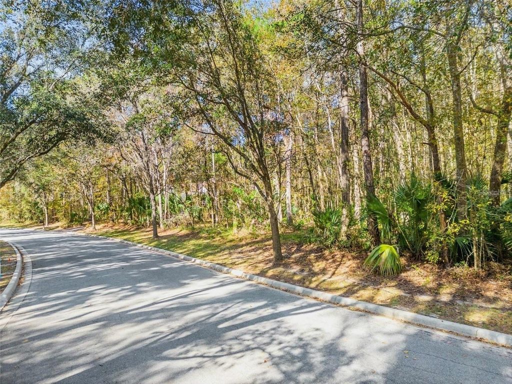 Photo of Tbd SW 37th Place Road, Ocala, FL 34471 (MLS # G5099688)