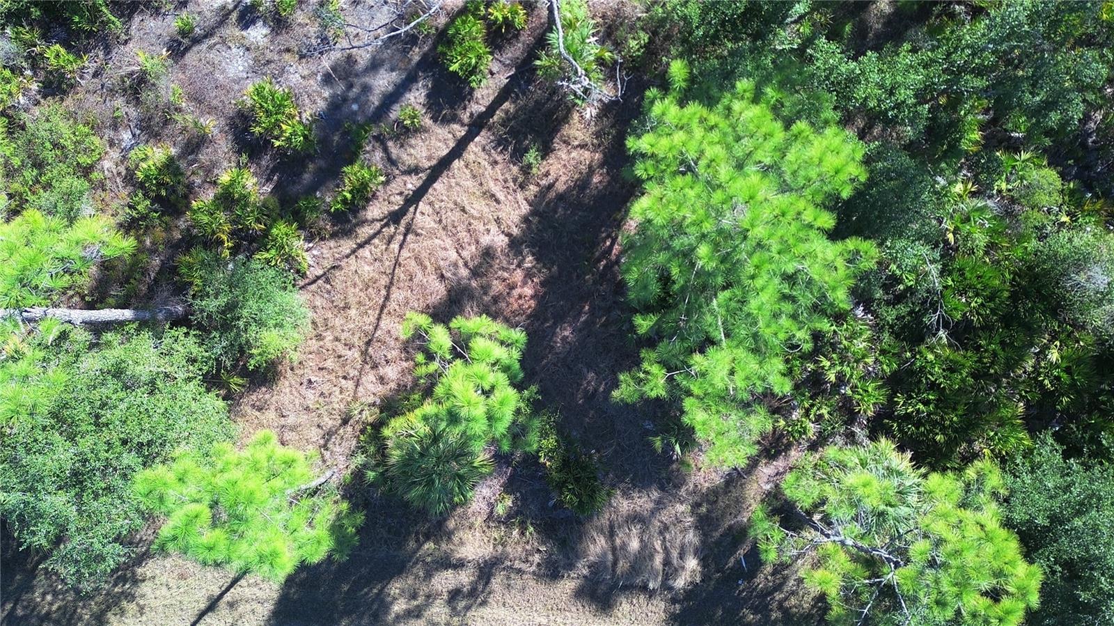 PORT CHARLOTTE SEC 038 - Land