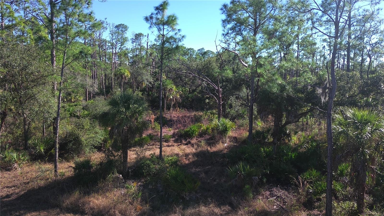 PORT CHARLOTTE SEC 038 - Land