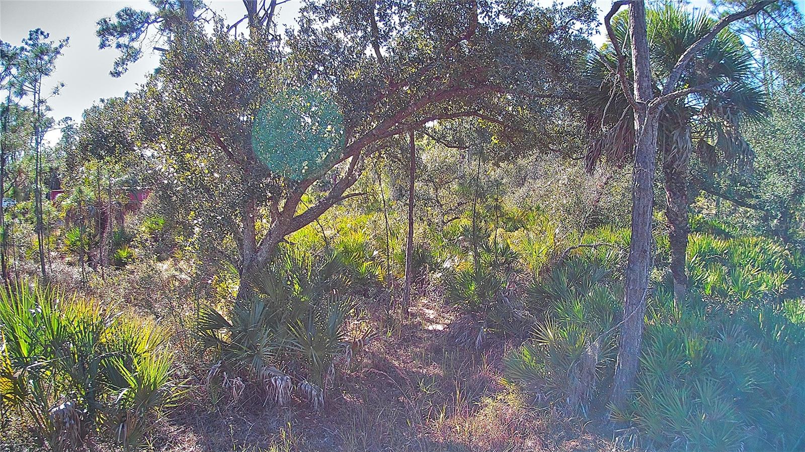 PORT CHARLOTTE SEC 038 - Land