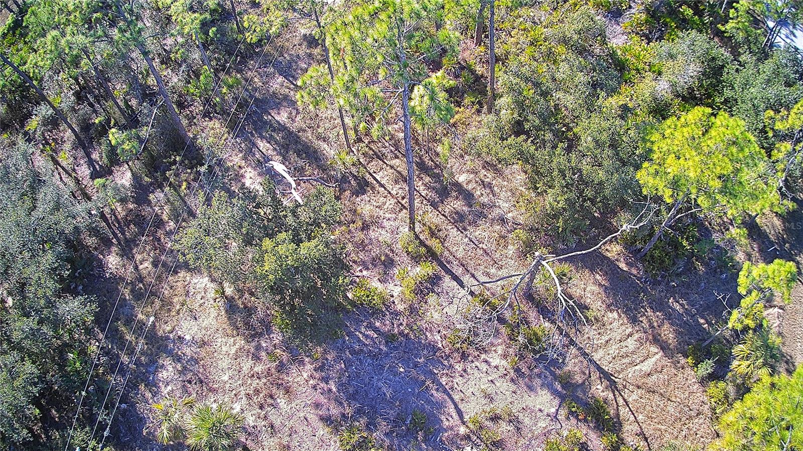 PORT CHARLOTTE SEC 038 - Land