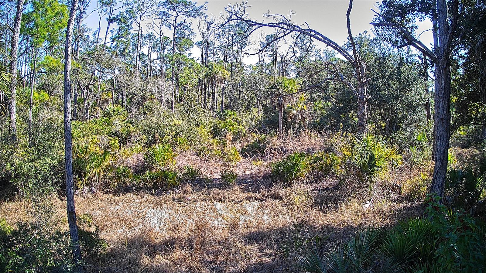 PORT CHARLOTTE SEC 038 - Land