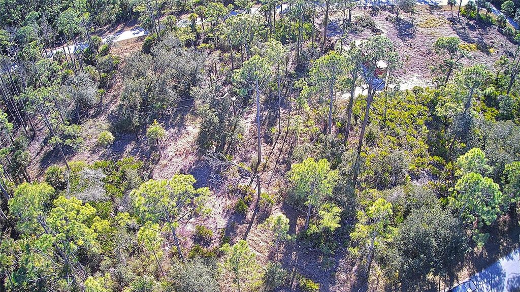 Photo of 13093 Harbison Avenue, Port Charlotte, FL 33953 (MLS # C7520249)