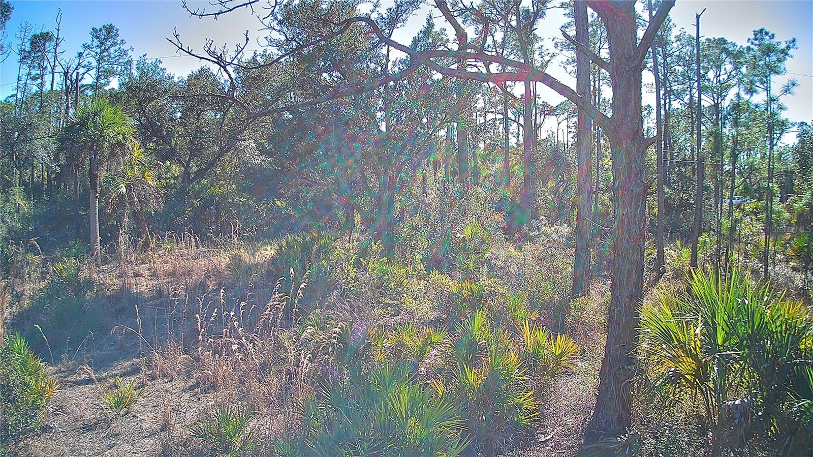 PORT CHARLOTTE SEC 038 - Land