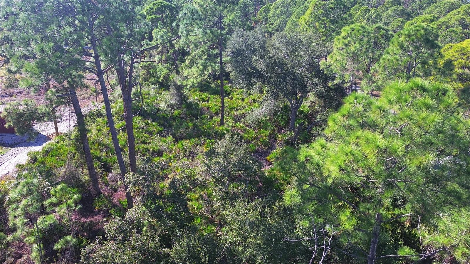 PORT CHARLOTTE SEC 038 - Land